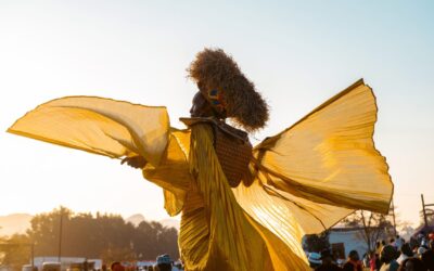 INCREASED DEMAND FOR MTN BUSHFIRE FUELS LAUNCH OF PHASE 4 TICKETS!